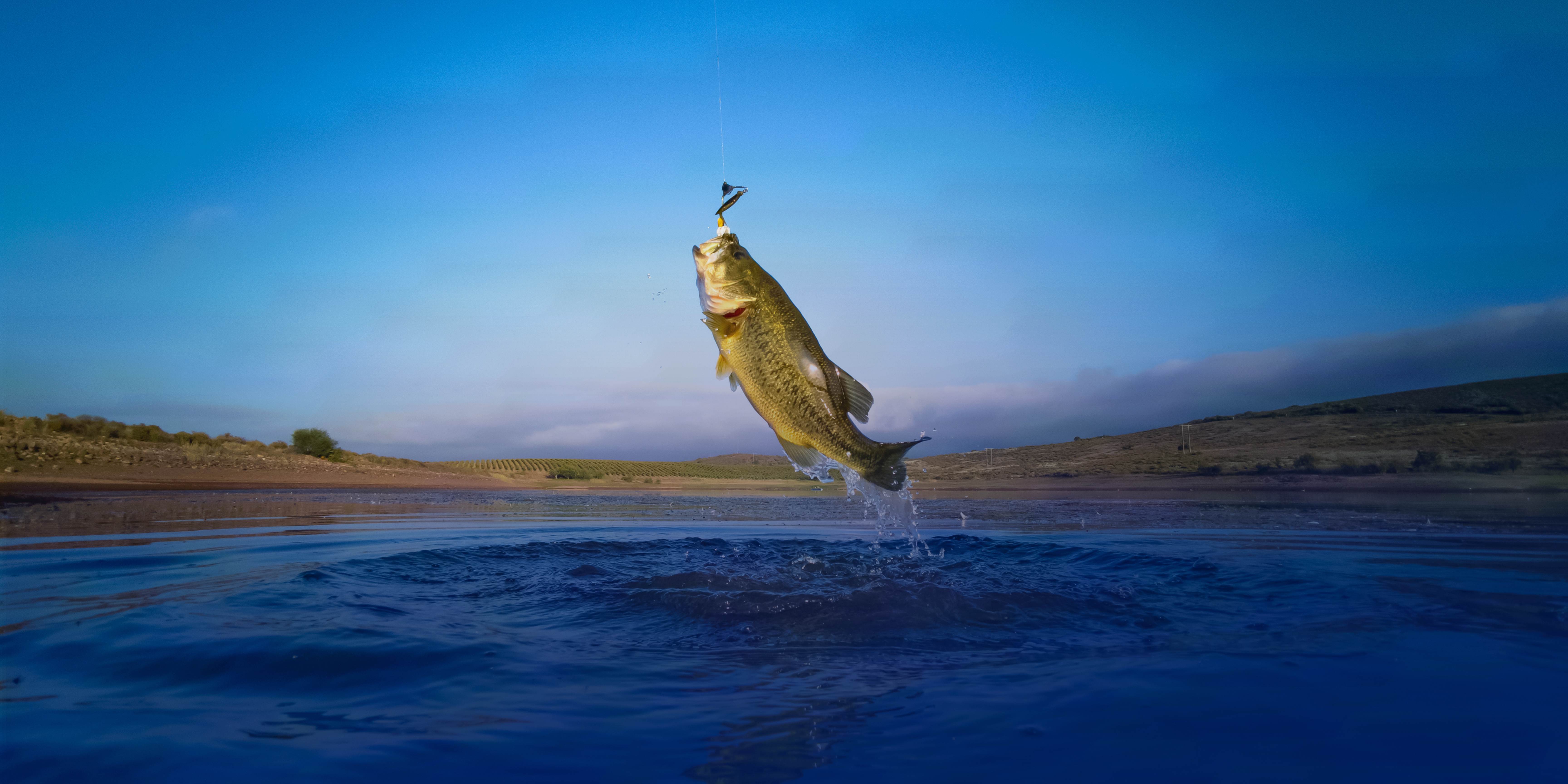 FL Fishing, Aquicultura Sustentável, Tecnologia para Aquicultura, Soluções Inovadoras em Aquicultura, Monitoramento de Tanques de Peixes, FL Fish Farm, Desenvolvimento Sustentável na Aquicultura, Gestão de Viveiros Aquícolas, Tecnologia para Peixes e Aquicultura, Sistema de Monitoramento Ambiental Aquícola, Eficiência na Produção de Peixes, Inovação em Aquicultura, Práticas Sustentáveis na Aquicultura, Controle de Saúde de Peixes, Gestão Inteligente de Aquicultura, Tecnologias Ecológicas para Aquicultura, Otimização de Produção Aquícola, FL EcoIT, Sustentabilidade na Aquicultura, Cultivo Sustentável de Peixes, Sistema de Câmeras para Aquicultura, Aquicultura, Tilápias