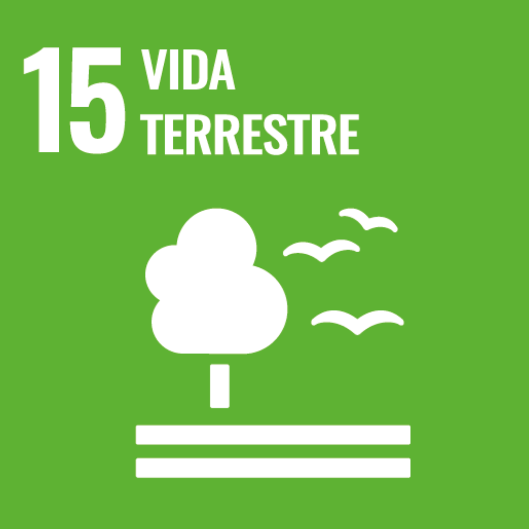 Aquicultura Sustentável, Tecnologia para Aquicultura, Soluções Inovadoras em Aquicultura, Monitoramento de Tanques de Peixes, FL Fish Farm, Desenvolvimento Sustentável na Aquicultura, Gestão de Viveiros Aquícolas, Tecnologia para Peixes e Aquicultura, Sistema de Monitoramento Ambiental Aquícola, Eficiência na Produção de Peixes, Inovação em Aquicultura, Práticas Sustentáveis na Aquicultura, Controle de Saúde de Peixes, Gestão Inteligente de Aquicultura, Tecnologias Ecológicas para Aquicultura, Otimização de Produção Aquícola, FL EcoIT, Sustentabilidade na Aquicultura, Cultivo Sustentável de Peixes, Sistema de Câmeras para Aquicultura, Aquicultura, Tilápias